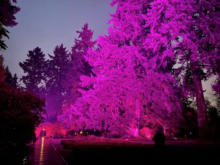 燈光案例｜“我們?cè)诠庵小? />
								<h1><a href=